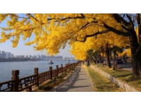 北京秋日Citywalk攻略：6條路線盡賞北平秋景魅力