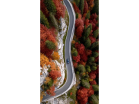 配色絕了！咸寧秋日頂流正在這條道路上演