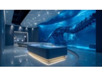 走進鳥巢 水立方 周邊逛吃玩一日游