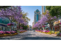 成都初春暖陽(yáng)天，曬暖身心好時(shí)光