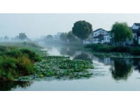 臨汾特色“狗舌頭”面食，20多元享地道風味