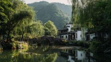 莫愁村的秘密:不僅是長壽村,還有更多可愛的地方等待你去探索