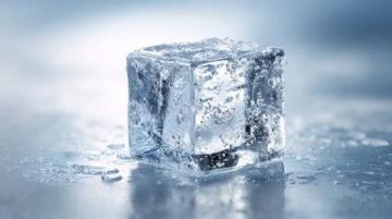 五個有趣的冷知識，讓你大開眼界