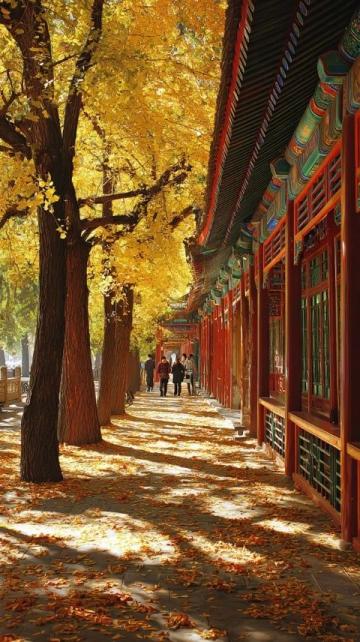 秋夜北京涼爽宜人正好約上朋友一起出行