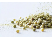 探索香菜的獨(dú)特魅力：你接受它的味道嗎？