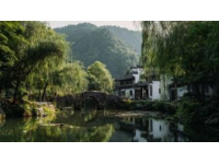 莫愁村的秘密：不僅是長壽村，還有更多可愛的地方等待你去探索