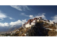 探索康定：舌尖上的高原美食——牦牛野生菌湯鍋的獨特魅力