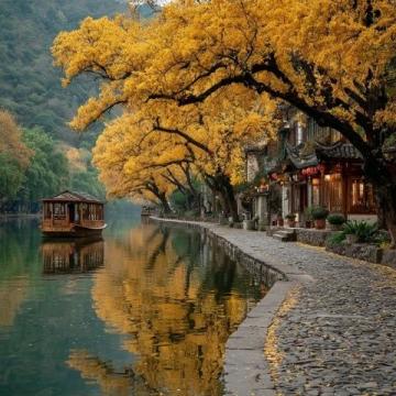 肇慶游玩歸來，推薦必去景點