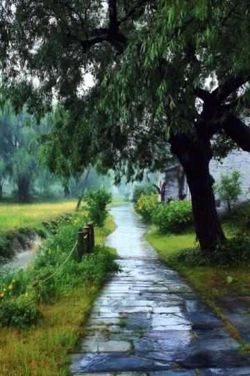 南京周邊十大靜謐免費村落,暑假閑逛好去處