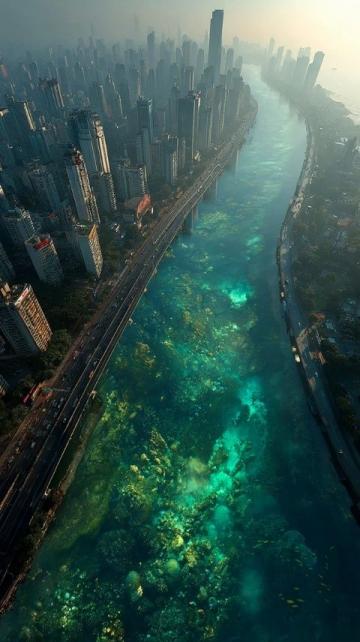 重慶必去打卡點攻略:解鎖8D魔幻城市拍照秘籍