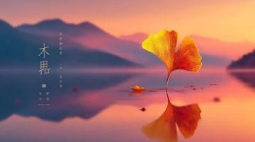 遇見杭城秋意濃，太子灣與花港觀魚的紅葉秘境等你來探