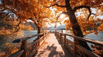 遇見杭城秋意濃，太子灣與花港觀魚的紅葉秘境等你來探