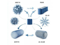 七年級生物必考點(diǎn)一網(wǎng)打盡：詳解核心知識+160個高頻考題攻略