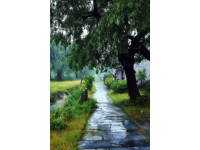 南京周邊十大靜謐免費村落，暑假閑逛好去處