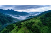 淮南的風是潤的，裹著豆香與水腥氣，讓網紅攻略里的刻板印象泡得軟乎乎的。