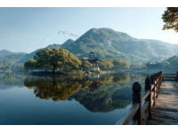 地點龍?zhí)梁珗@