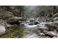 探根親文化，游固始山水禪境旅游攻略