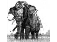 大象“幫”你報志愿！全省高報專家免費答疑