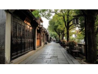 杭州市中心網紅咖啡街區崛起，孩兒巷成年輕人打卡新地標