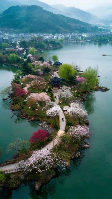 春季成都美食賞花攻略，桃花朵朵增好感