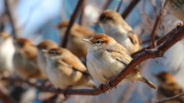 我領到了春日踏青攻略七星巖外煙霞古，疊彩山前草木深