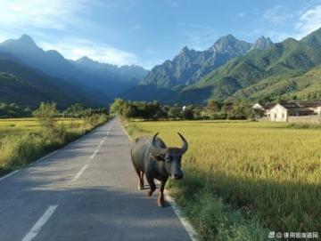 探秘凱里：一場說走就走的貴州之旅，感受家鄉(xiāng)味與異鄉(xiāng)情