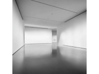 西安秋季賞葉攻略：五大絕美打卡地+拍照技巧