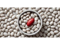 蘭州美食之灰豆子(美食灰)