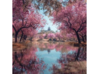 雞鳴寺玄武湖賞櫻攻略：不出片才怪！