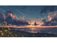 再美的風景遇上黑商販，都會瞬間讓人下頭,張家界這次可能因為5串燒烤砸了招牌