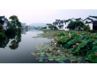 蘇州站攝影分享第七十六篇東村古村藏在太湖邊的攝影寶藏地