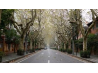 這座城市的溫潤與古樸,淮安西大街的美好之處