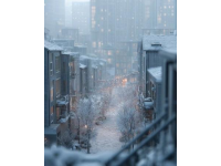 低溫雨雪冰凍天氣下房屋安全指南與出行防護(hù)常識(shí)