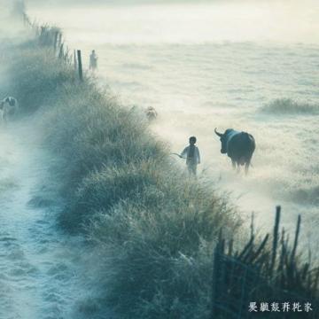 真實鄉村生活照爆紅網絡！無濾鏡三圖感動網友：這才是心靈的歸宿