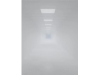 王楚欽澳門賽清新亮相：青春裝扮下的競技風采