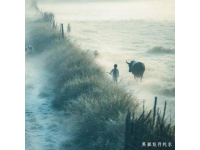 真實鄉村生活照爆紅網絡！無濾鏡三圖感動網友：這才是心靈的歸宿