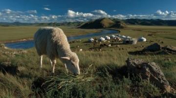 一個月內(nèi)蒙古東北自由行預(yù)算揭秘：8000元夠用嗎？