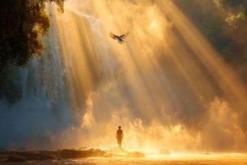 探尋生命的價值與使命所在