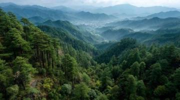 終南山秘境:探尋古法養生之道,食補動補心補,煥發生活生機