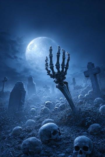 從300分到500分，如何高效提分？不死學、抓基礎是關鍵