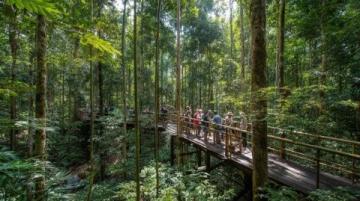 西雙版納三日游包車攻略：傣族風情與熱帶雨林探秘