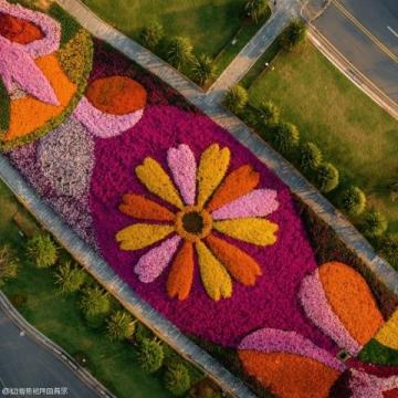 南寧花花大世界的游玩攻略與地圖指引