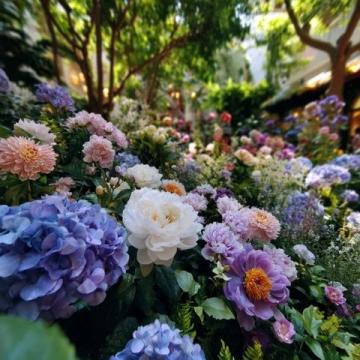 中山橫欄西江花海！這可是個免費的寶藏景點，非常適合周末來賞花遛娃