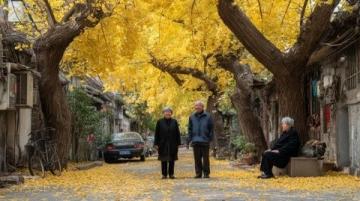 鄭家大院銀杏葉變金黃