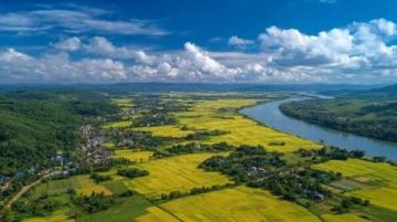 西雙版納一日游攻略：自然、文化和動物之旅推薦線路