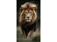 想長壽護好心臟：牢記“四低兩高”，遠離飲食陷阱