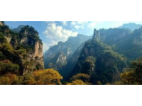 張家界大庸：探尋山水間的極致風(fēng)味——從土家三下鍋到巖耳燉土雞的自然交響樂