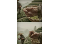 探尋慧苑坑的老君眉：武夷巖茶中的細膩韻味與特色