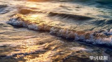 國內熱門景點詳解:青島海濱之旅與伊犁草原浪漫花海探秘