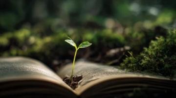 生,就像一本無解的書,寫滿了春夏秋冬,翻開每一頁都藏著不同的故事,那一段段歲月